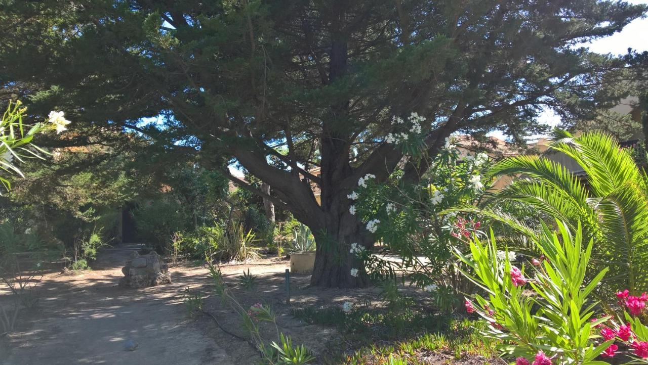 6 Pers Au Bord De La Méditerranée Appartamento Leucate